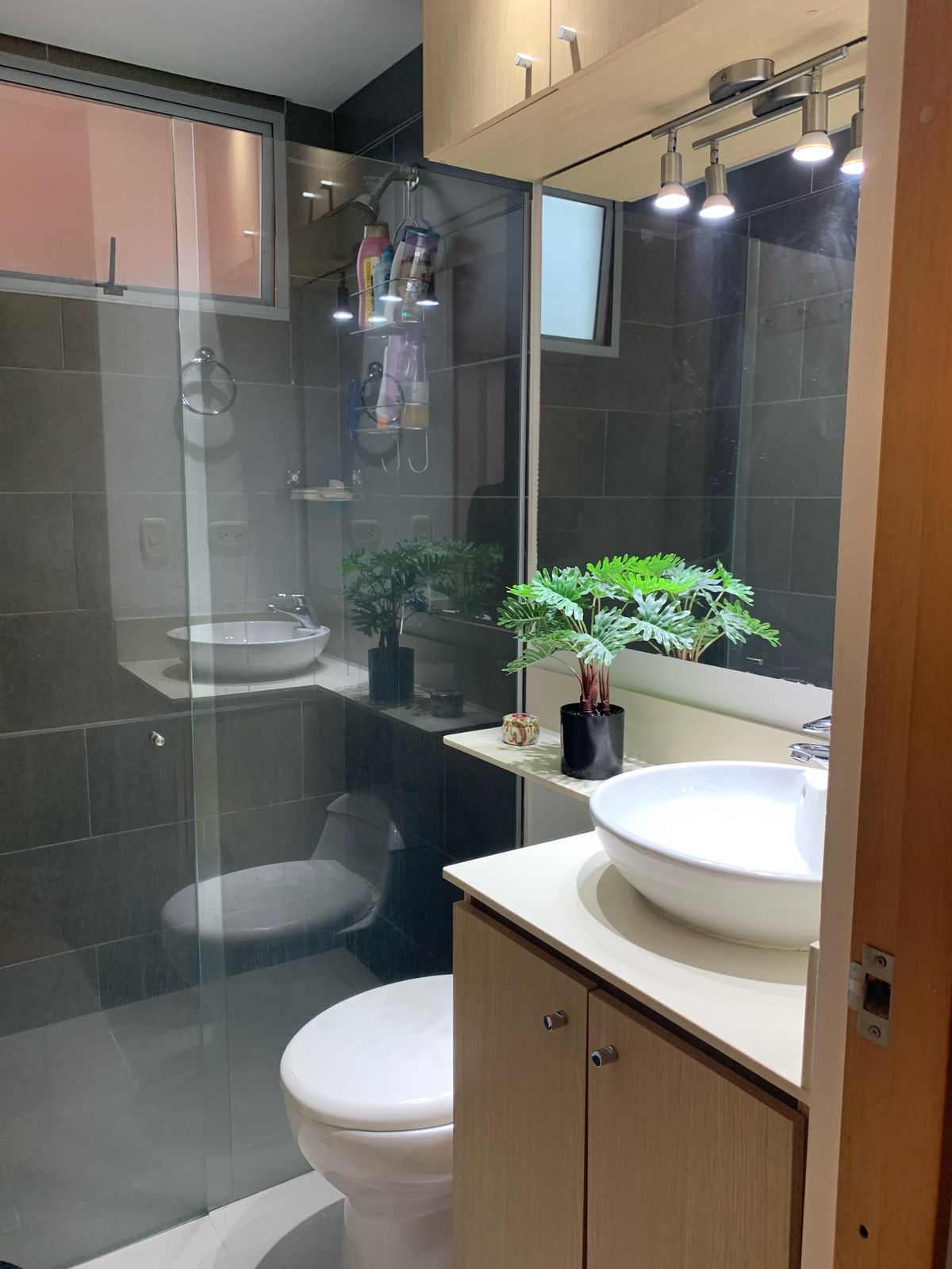 WhatsApp Image 2025-05-19 at 2.42.14 PM (1)