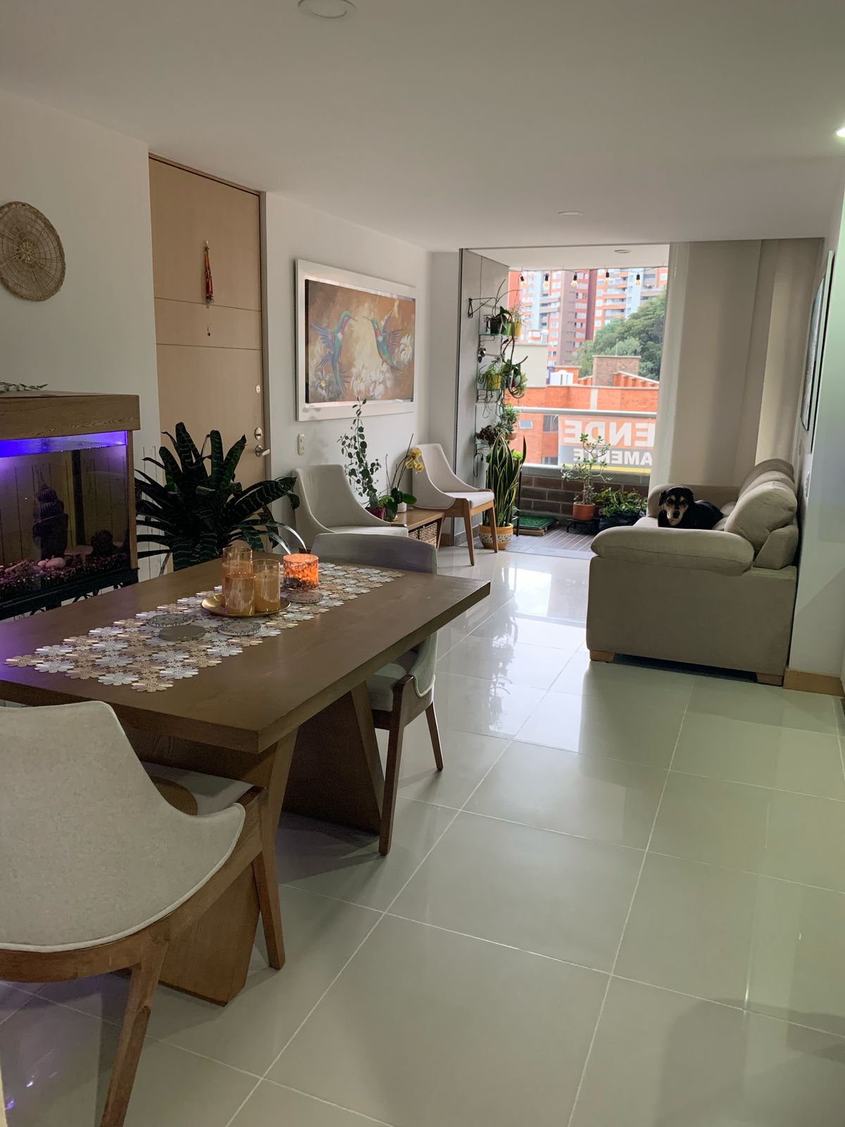 WhatsApp Image 2025-05-19 at 2.42.16 PM (1)