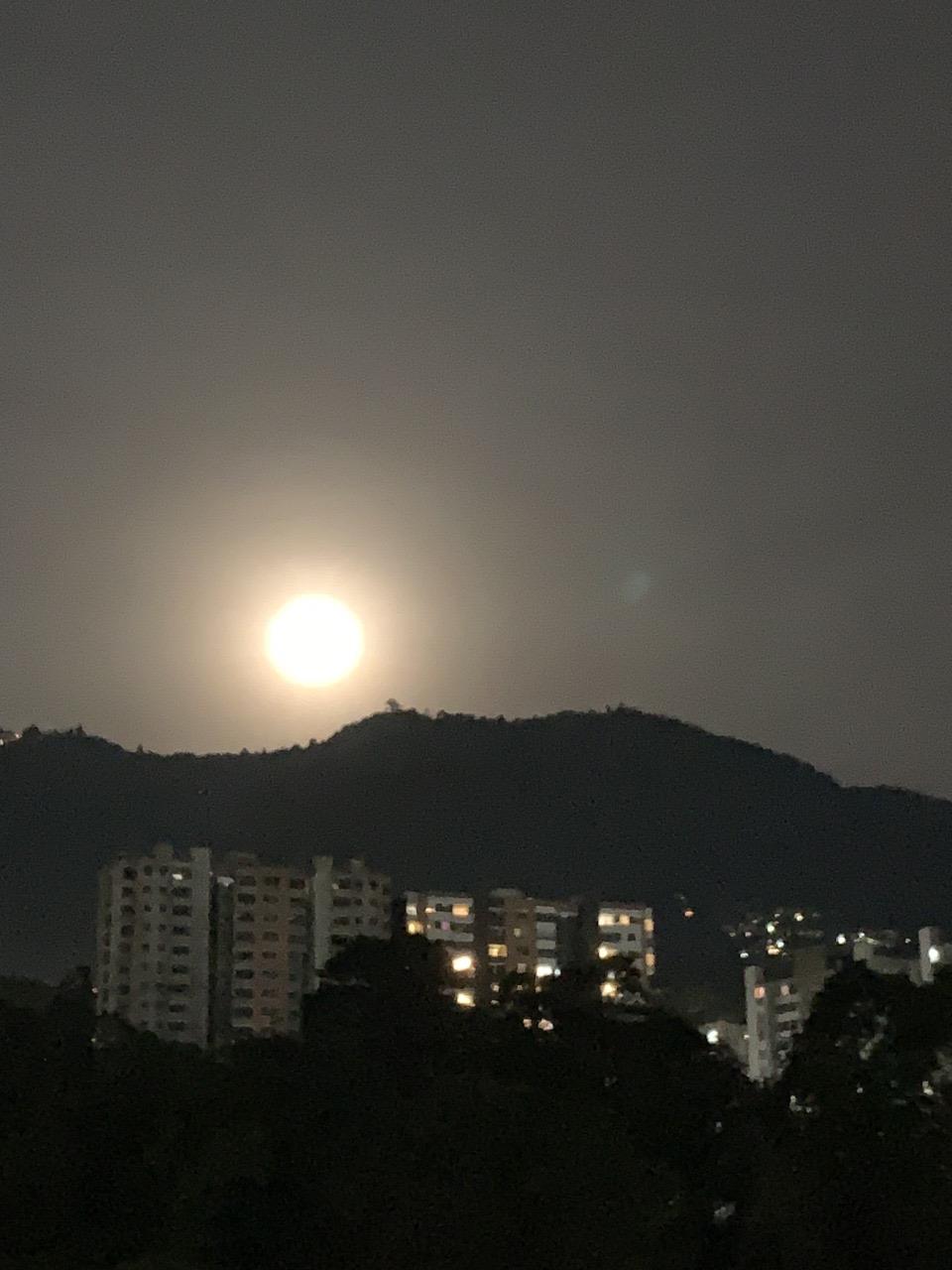 WhatsApp Image 2025-05-19 at 2.42.17 PM (1)