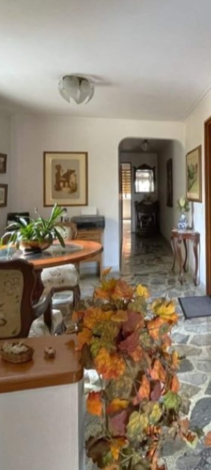 WhatsApp Image 2025-05-20 at 3.45.21 PM (3)