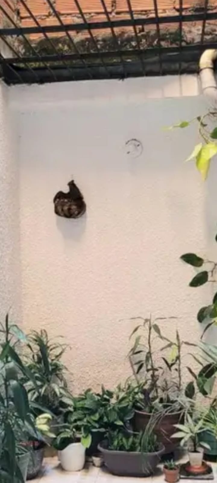 WhatsApp Image 2025-05-20 at 7.12.34 PM (2)