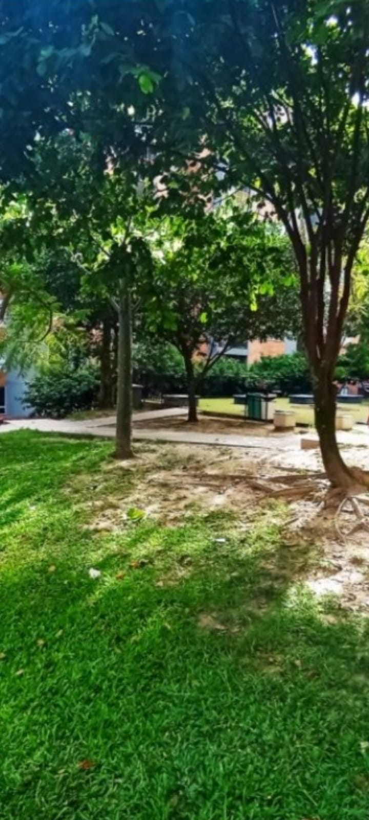 WhatsApp Image 2025-05-22 at 3.17.56 PM (1)