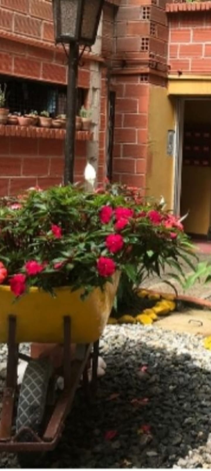 WhatsApp Image 2025-05-25 at 2.06.29 PM