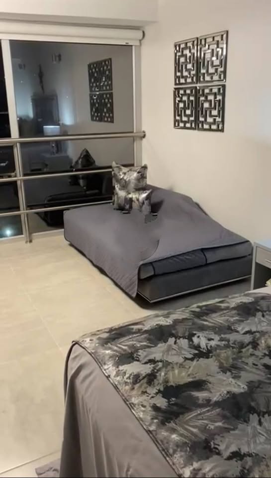 649004805_3059817244218894_8474128041838726029_n