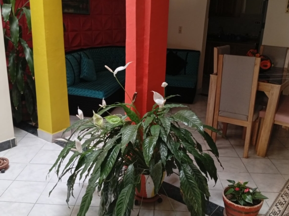 CASA EN VENTA EN CAMPO VALDES